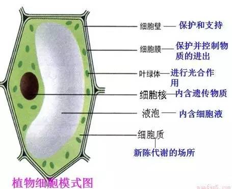 微信图片_20230321091742.jpg