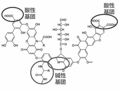 微信图片_20230321091702.jpg