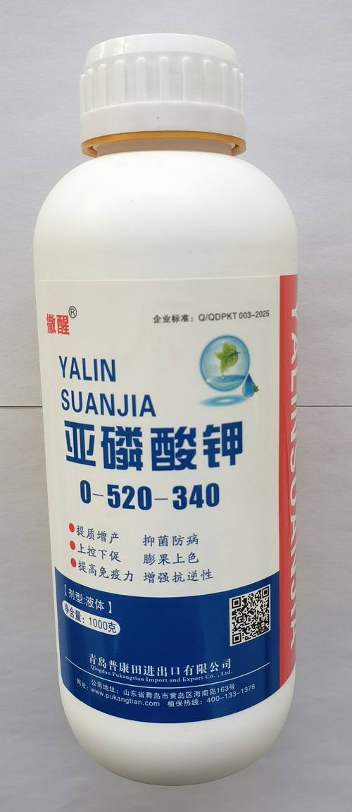 微信图片_20250420063150.jpg